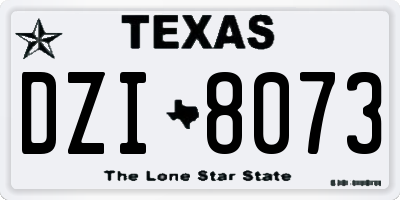 TX license plate DZI8073
