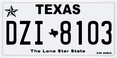 TX license plate DZI8103