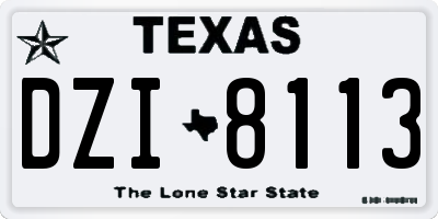 TX license plate DZI8113