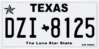 TX license plate DZI8125