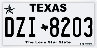 TX license plate DZI8203