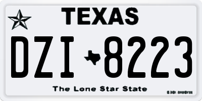 TX license plate DZI8223