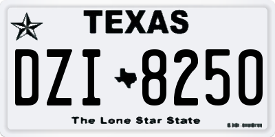 TX license plate DZI8250