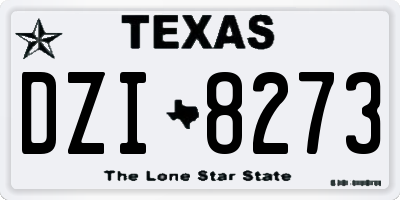 TX license plate DZI8273