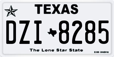 TX license plate DZI8285