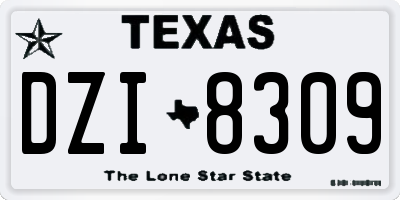 TX license plate DZI8309