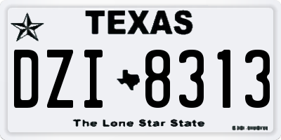 TX license plate DZI8313