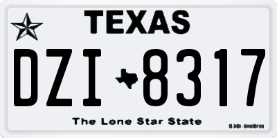 TX license plate DZI8317