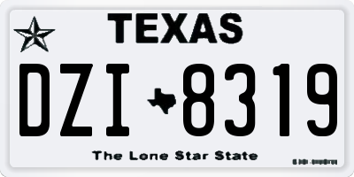 TX license plate DZI8319