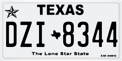 TX license plate DZI8344