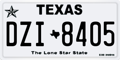 TX license plate DZI8405
