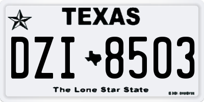 TX license plate DZI8503
