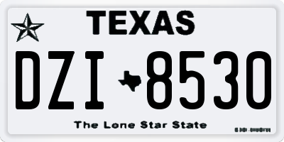 TX license plate DZI8530