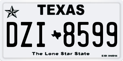 TX license plate DZI8599