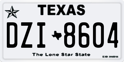 TX license plate DZI8604