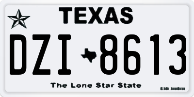 TX license plate DZI8613