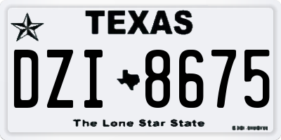 TX license plate DZI8675