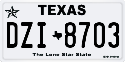 TX license plate DZI8703
