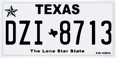 TX license plate DZI8713