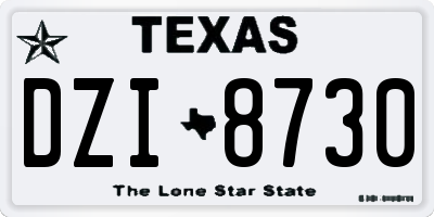 TX license plate DZI8730