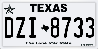TX license plate DZI8733