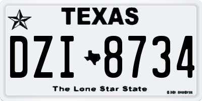 TX license plate DZI8734