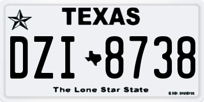 TX license plate DZI8738