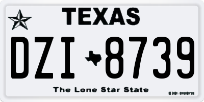 TX license plate DZI8739
