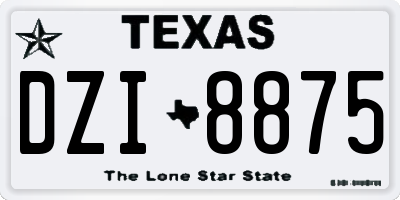 TX license plate DZI8875