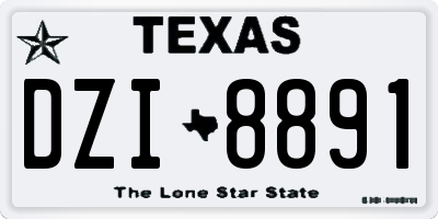 TX license plate DZI8891