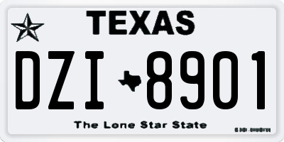 TX license plate DZI8901