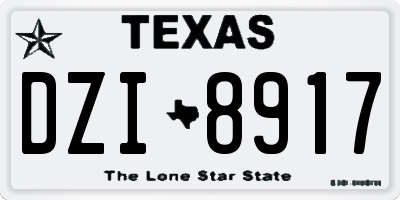 TX license plate DZI8917