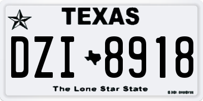 TX license plate DZI8918