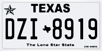 TX license plate DZI8919