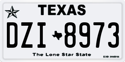 TX license plate DZI8973