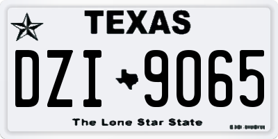 TX license plate DZI9065