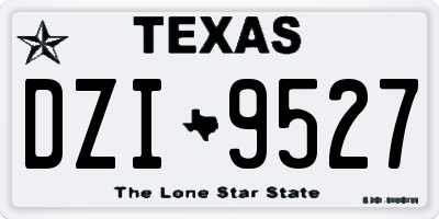 TX license plate DZI9527