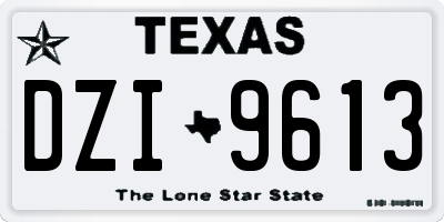 TX license plate DZI9613