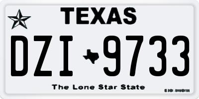 TX license plate DZI9733