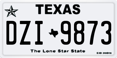 TX license plate DZI9873