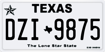 TX license plate DZI9875