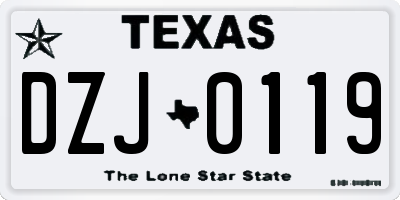 TX license plate DZJ0119