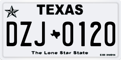 TX license plate DZJ0120