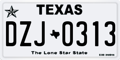 TX license plate DZJ0313