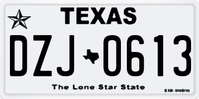 TX license plate DZJ0613