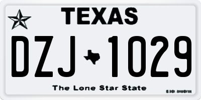 TX license plate DZJ1029