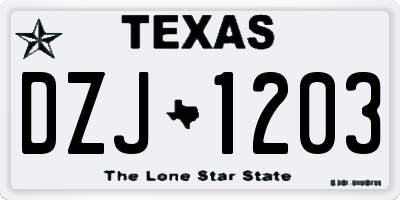 TX license plate DZJ1203