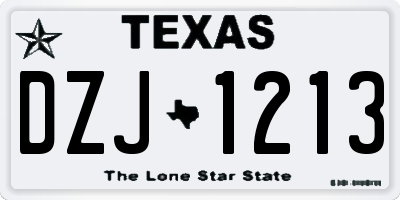 TX license plate DZJ1213