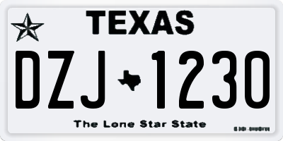 TX license plate DZJ1230