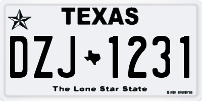 TX license plate DZJ1231